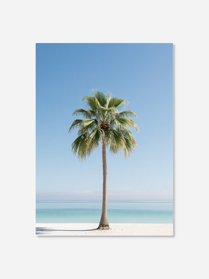 Serenity Palm | Canvastavla