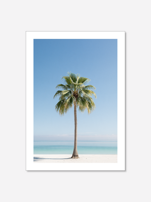 Serenity Palm | Poster