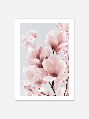 Magnolia | Poster
