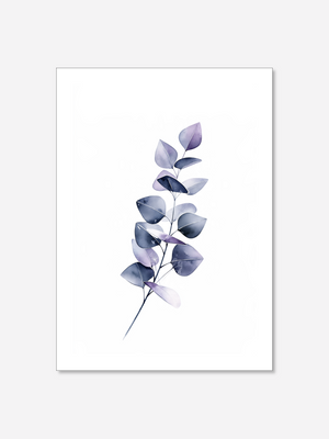 Eucalyptus | Poster