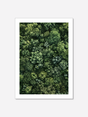 Green Roof | Poster