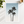 Palm Trees | Poster