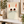 Seen This Cat? | Canvastavla