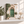 Mediterranean Door | Canvastavla