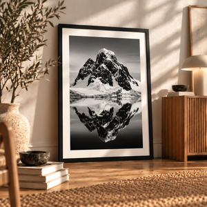 Arctic | Poster