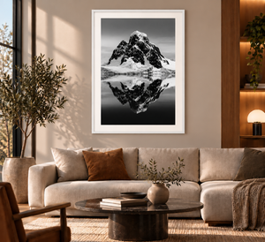 Arctic | Poster